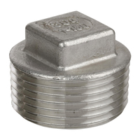 FPS-1400-SS 1/2 STEEL SQUARE HEAD PLUG 304STAINLESS